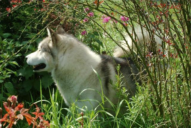 Enjoying a Summer day