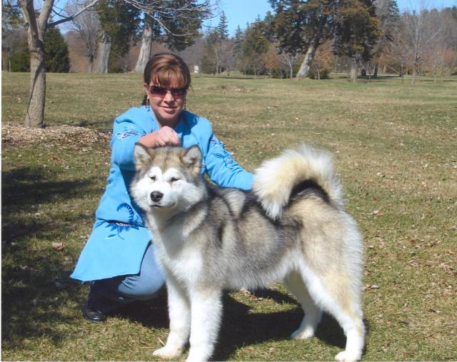 Pictured: AKC Best Puppy in Show Windchaser's Wine N Dine Me SnoShire    